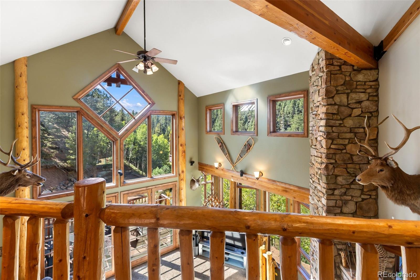 MLS Image #13 for 4214  trout creek road,woodland park, Colorado