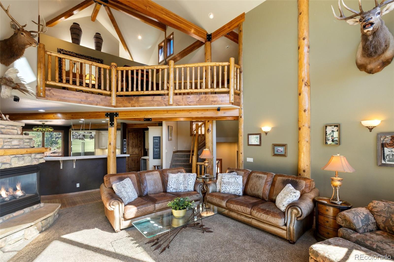 MLS Image #14 for 4214  trout creek road,woodland park, Colorado