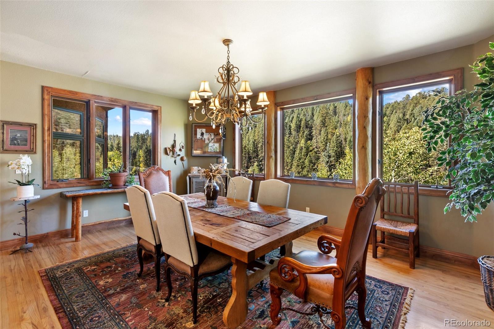 MLS Image #18 for 4214  trout creek road,woodland park, Colorado