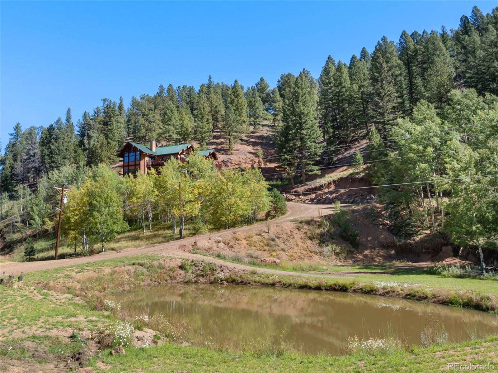 MLS Image #3 for 4214  trout creek road,woodland park, Colorado