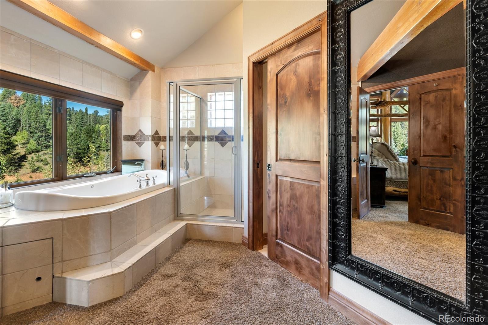 MLS Image #37 for 4214  trout creek road,woodland park, Colorado