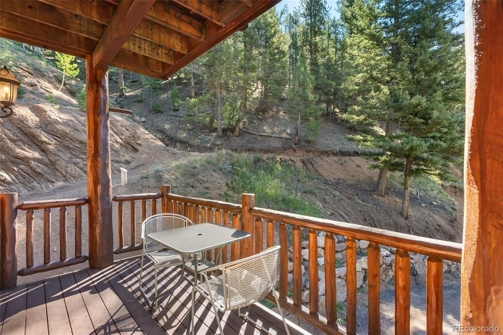 MLS Image #41 for 4214  trout creek road,woodland park, Colorado