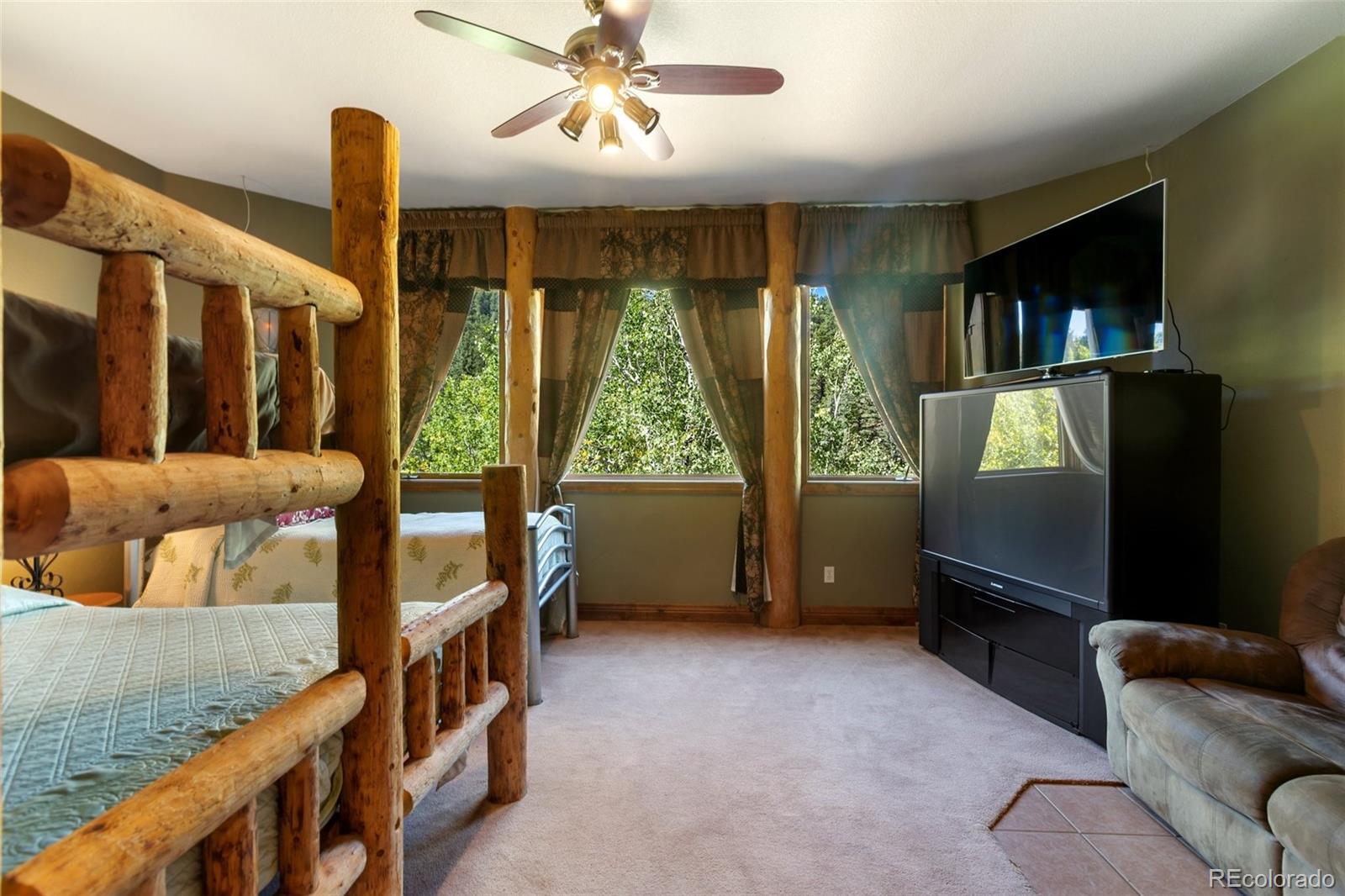 MLS Image #46 for 4214  trout creek road,woodland park, Colorado