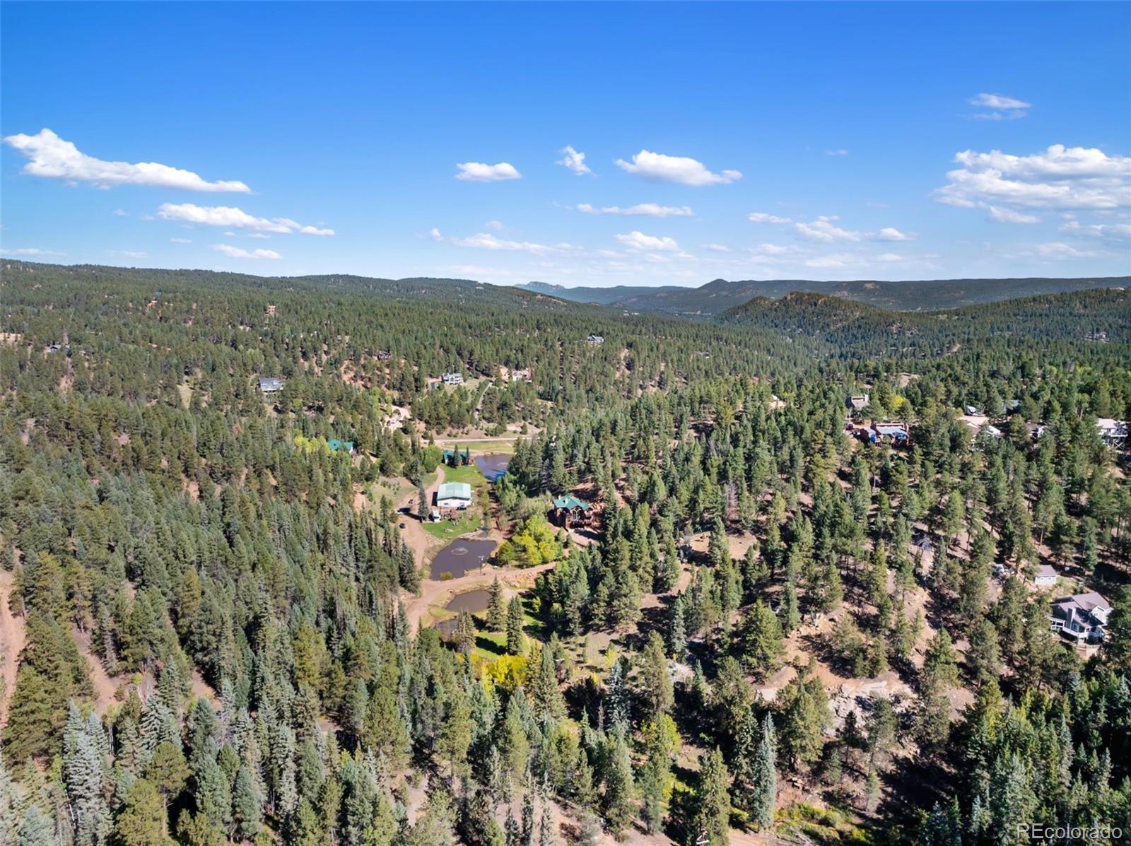 MLS Image #48 for 4214  trout creek road,woodland park, Colorado