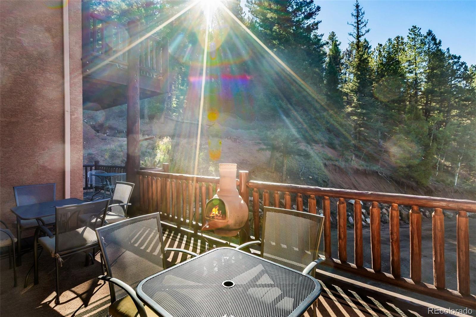 MLS Image #8 for 4214  trout creek road,woodland park, Colorado