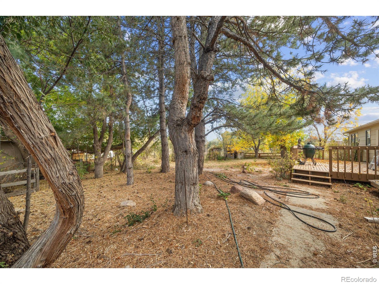 MLS Image #33 for 10272  macedonia street,longmont, Colorado