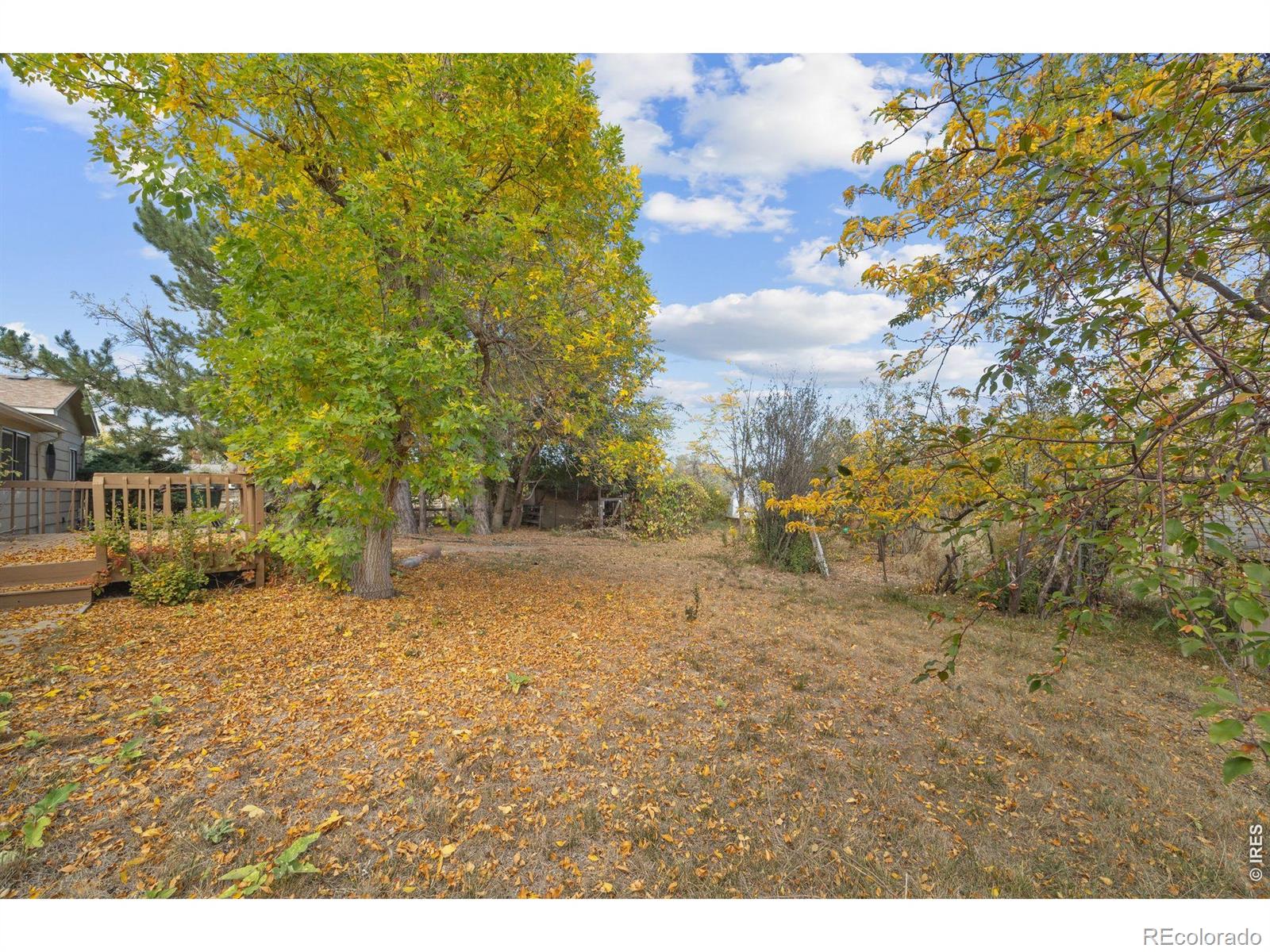 MLS Image #34 for 10272  macedonia street,longmont, Colorado