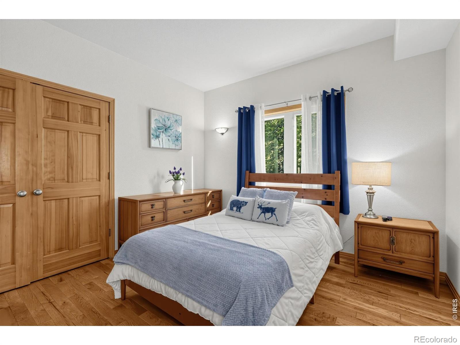 MLS Image #12 for 28  valley view lane,evergreen, Colorado