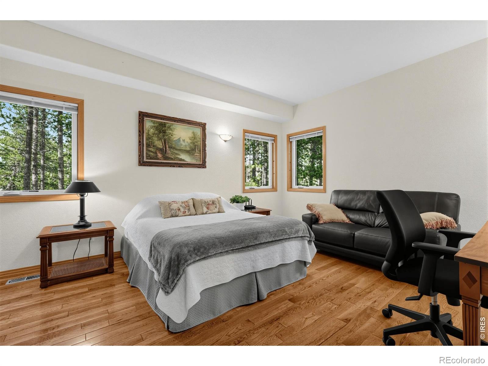 MLS Image #13 for 28  valley view lane,evergreen, Colorado