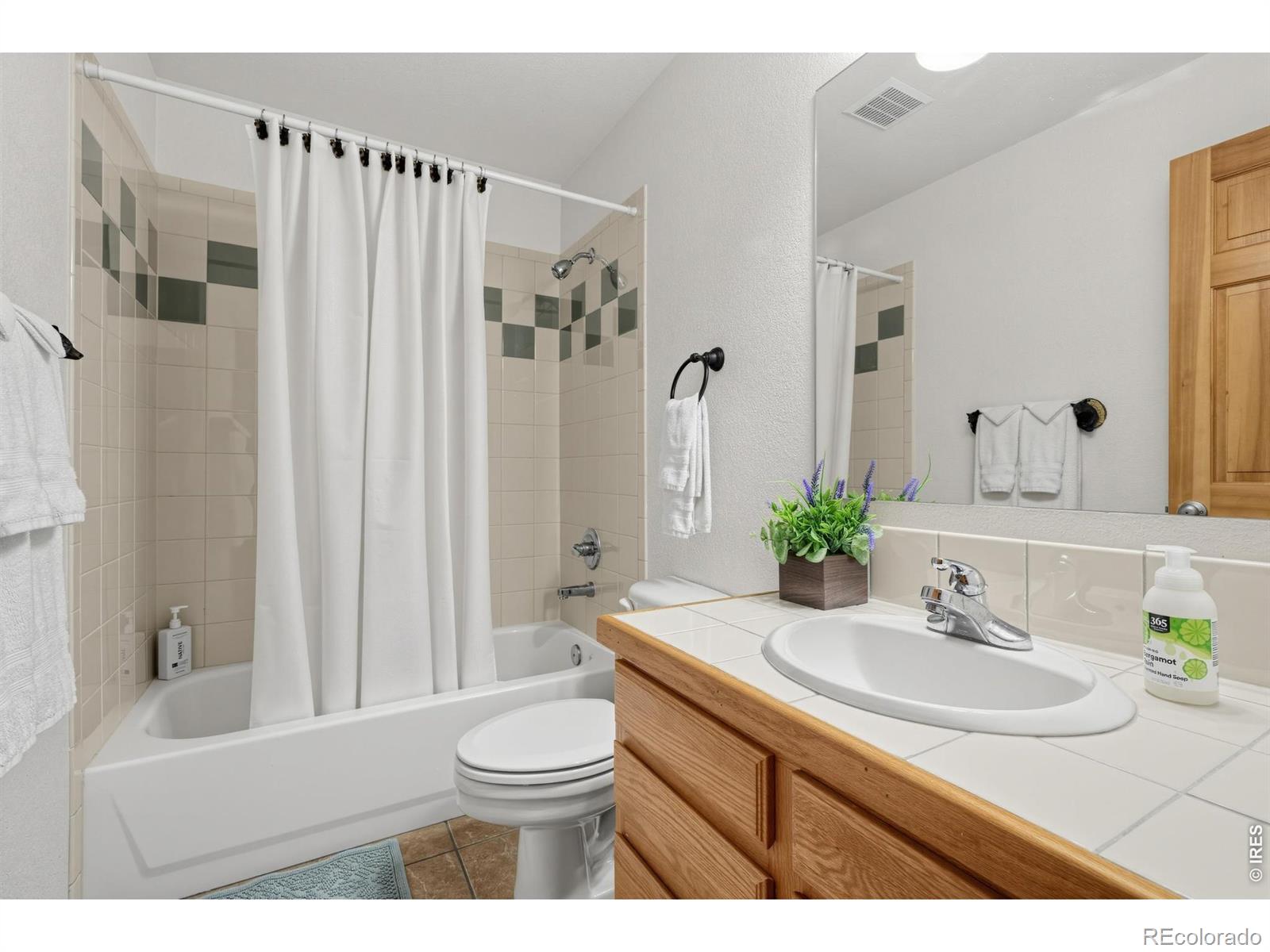 MLS Image #14 for 28  valley view lane,evergreen, Colorado