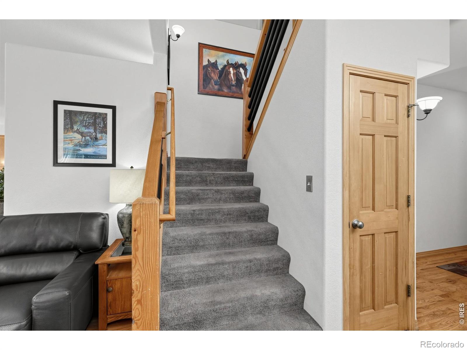 MLS Image #15 for 28  valley view lane,evergreen, Colorado