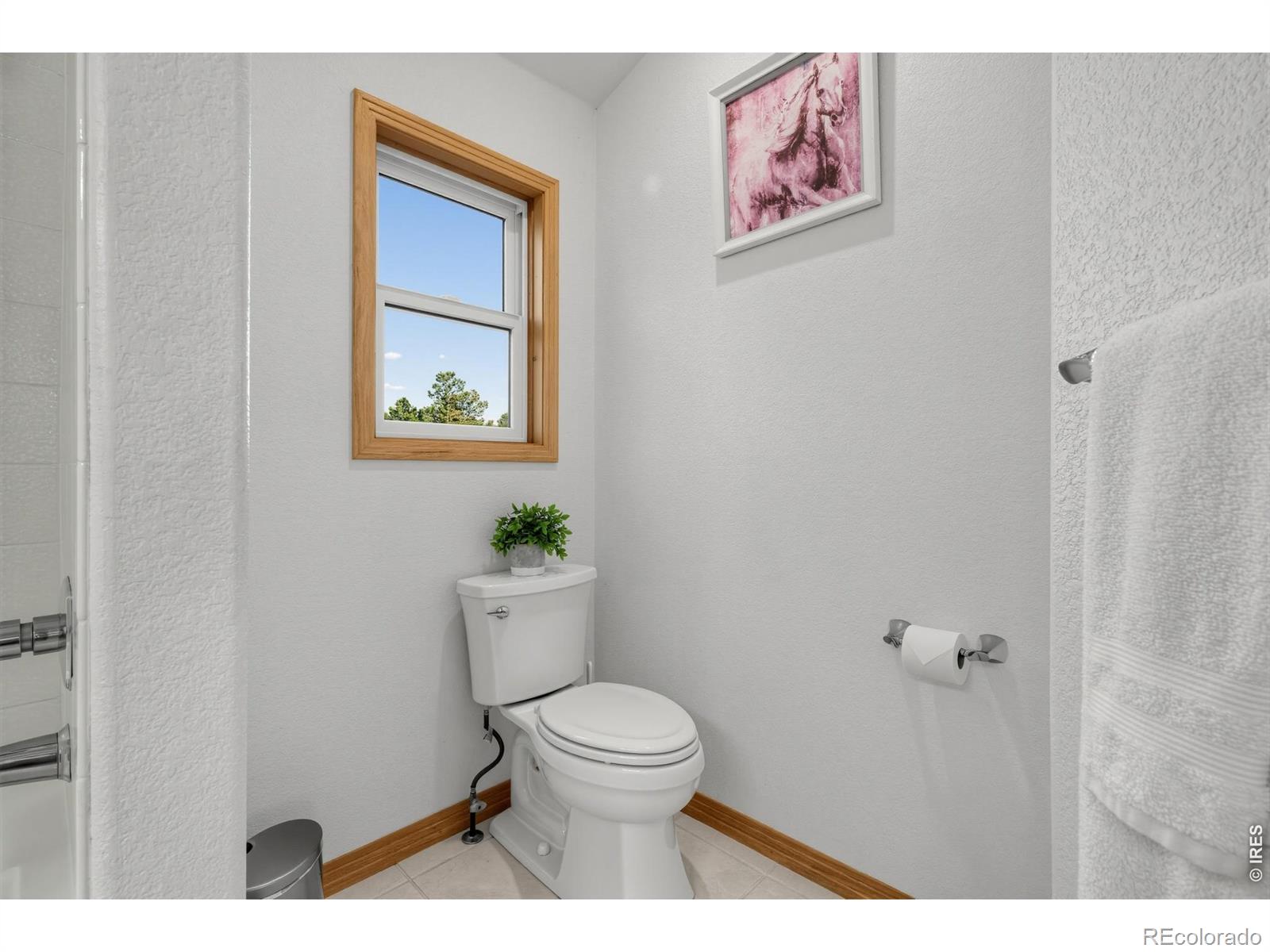 MLS Image #20 for 28  valley view lane,evergreen, Colorado