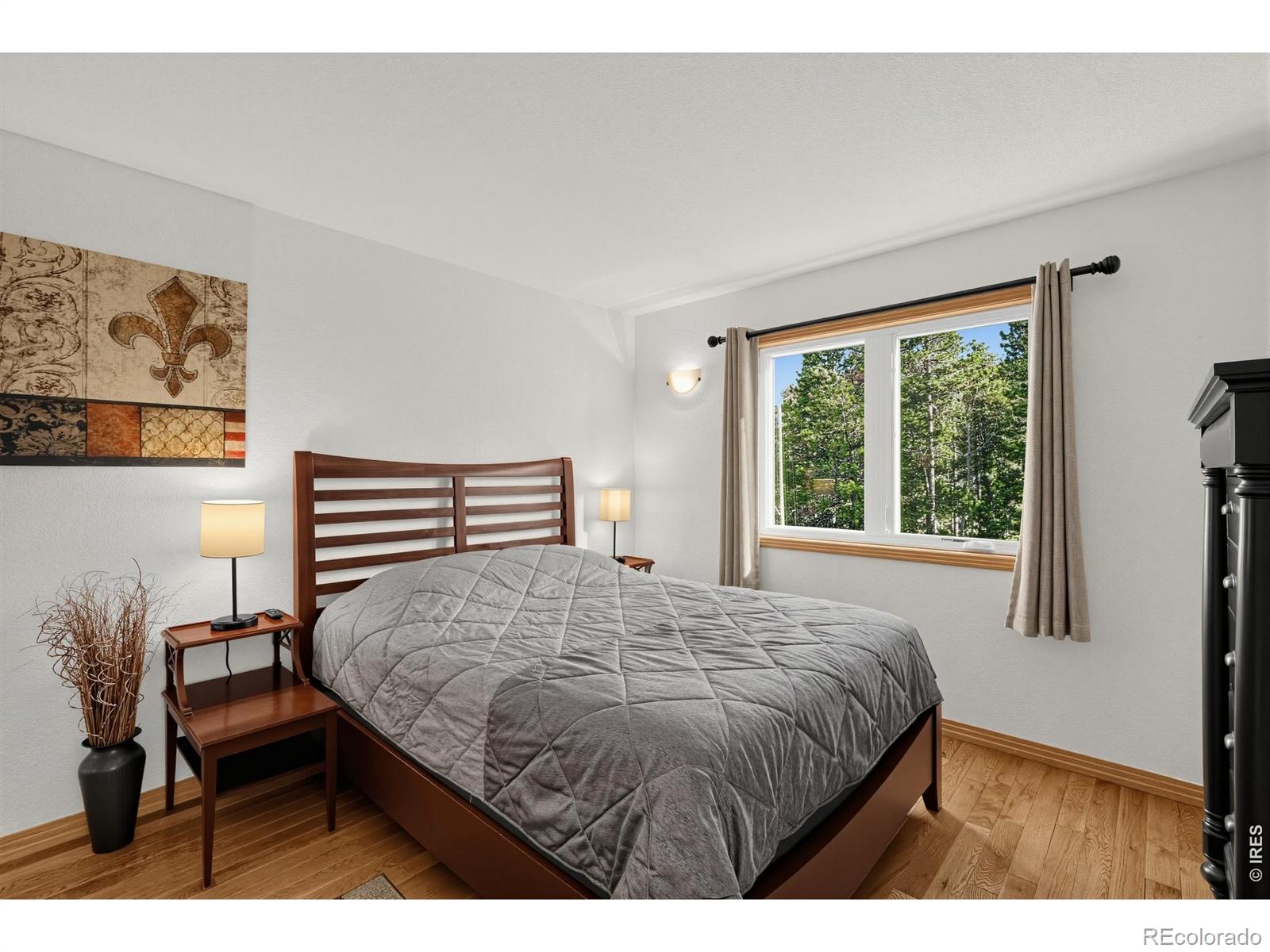 MLS Image #22 for 28  valley view lane,evergreen, Colorado