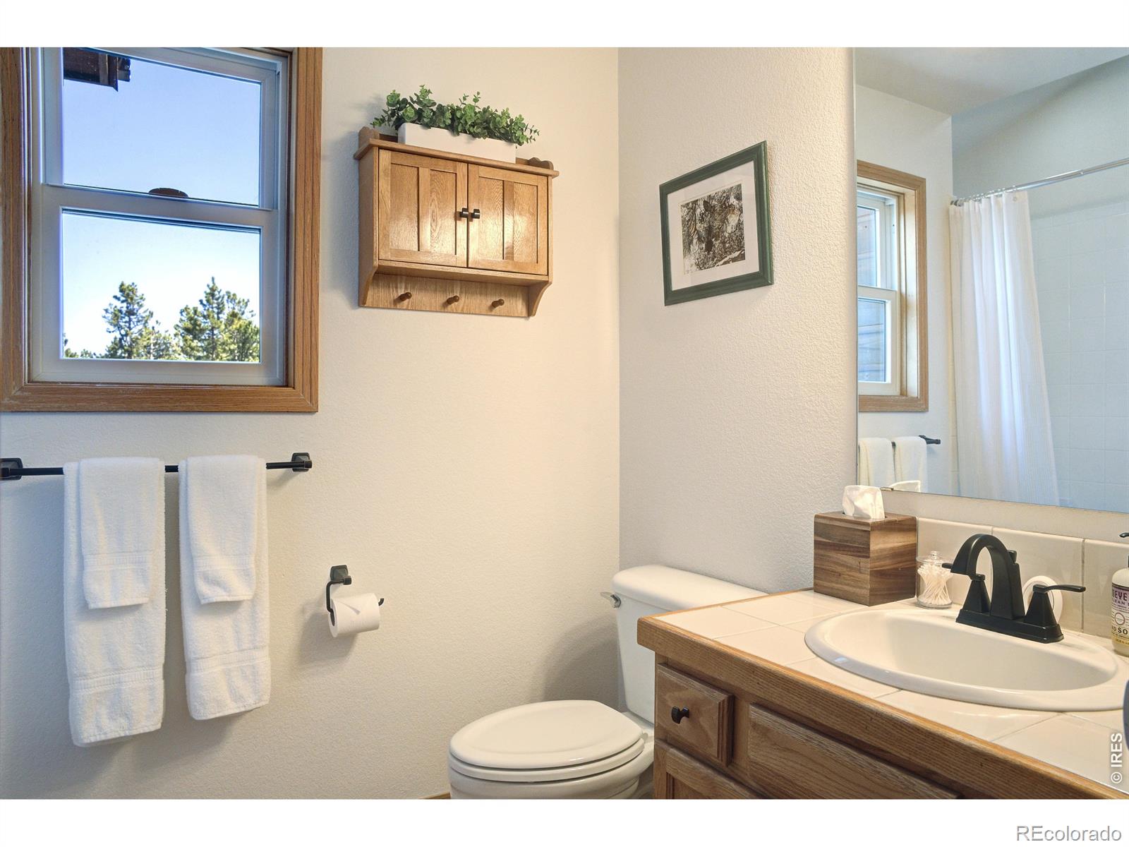 MLS Image #24 for 28  valley view lane,evergreen, Colorado