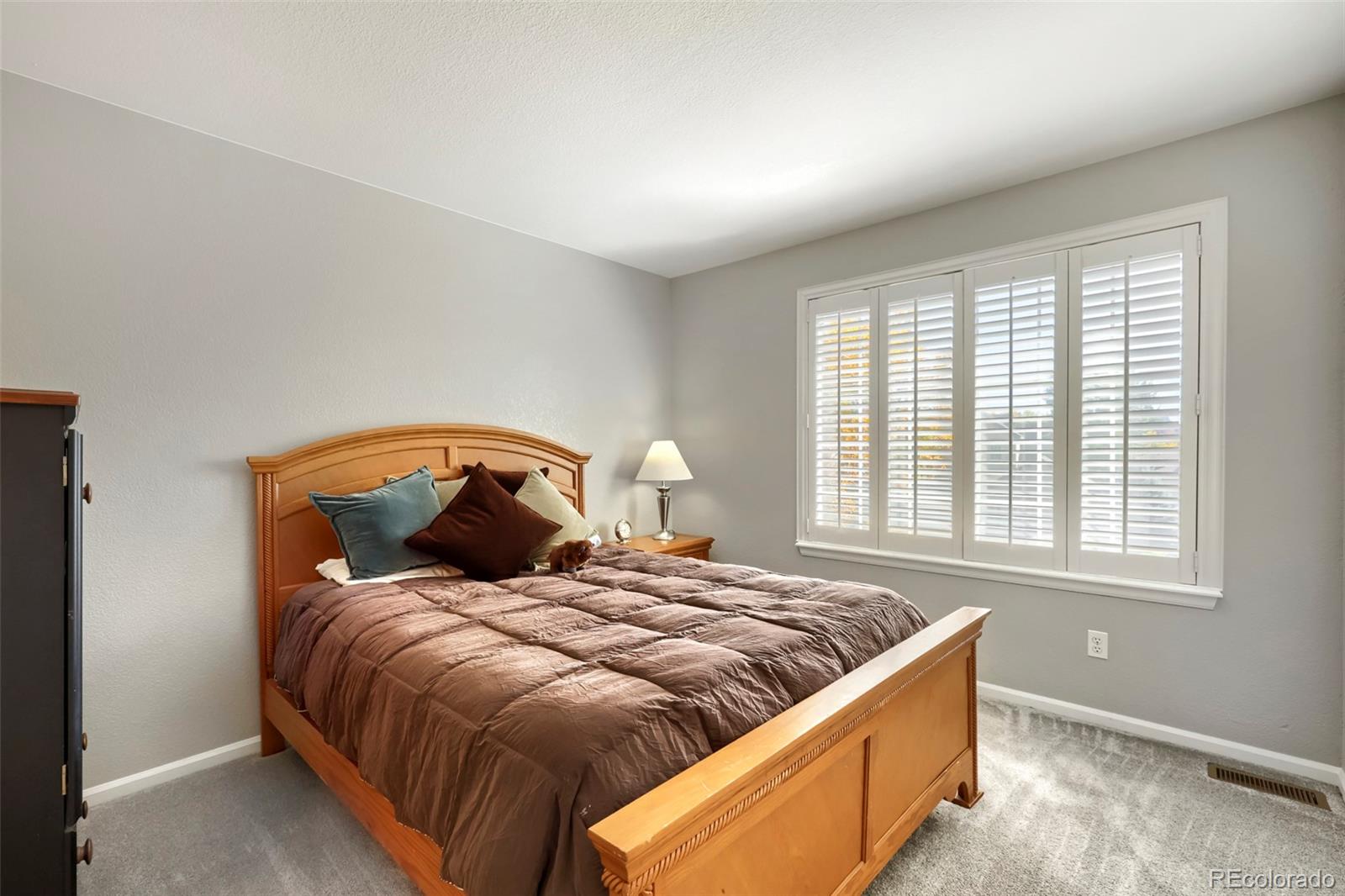 MLS Image #20 for 4690  springmeadow lane,castle rock, Colorado