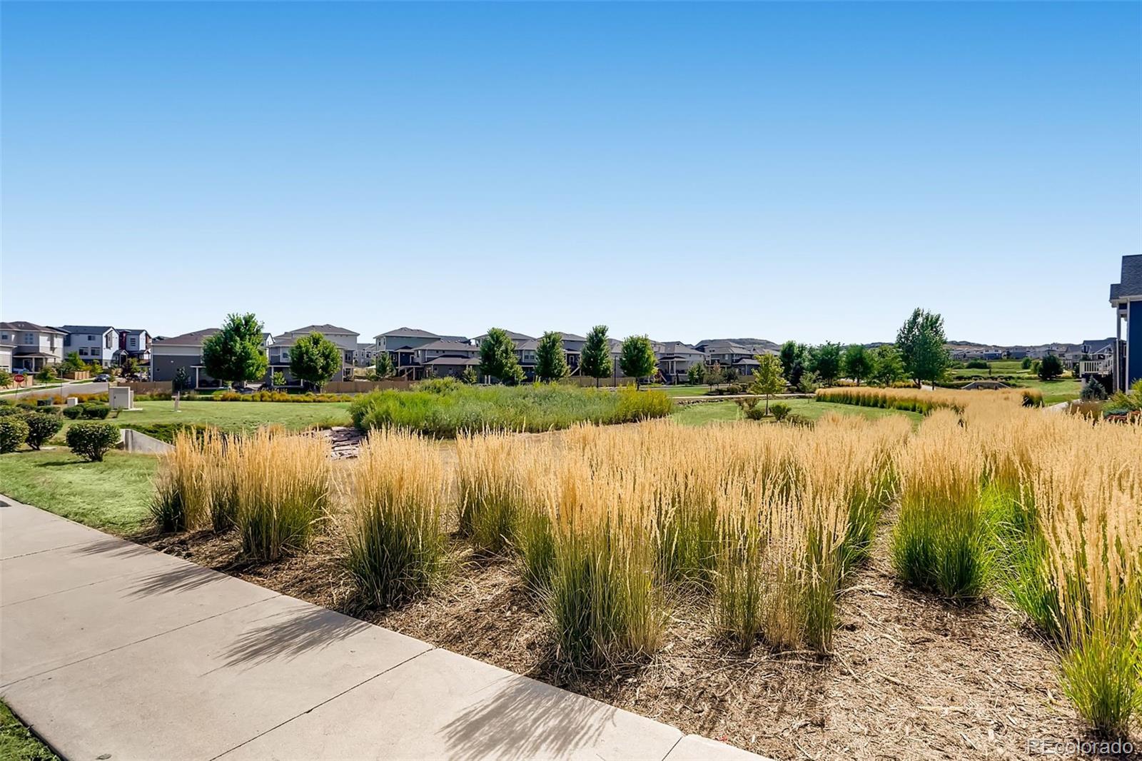MLS Image #38 for 4690  springmeadow lane,castle rock, Colorado