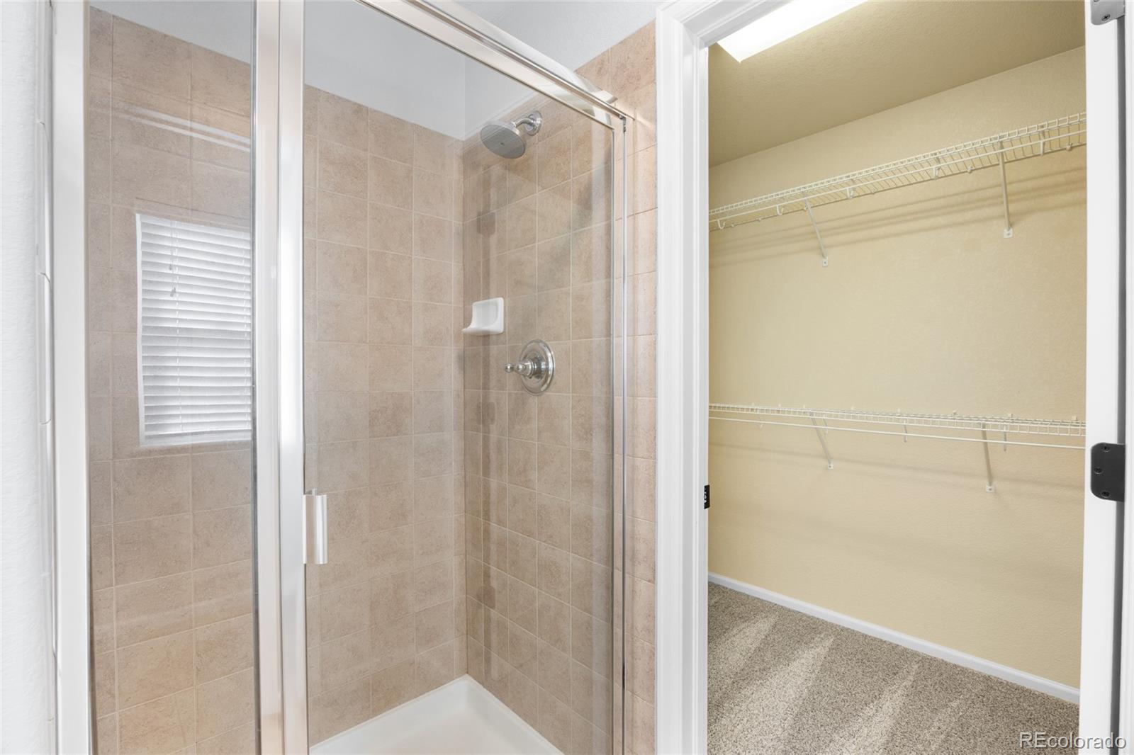 MLS Image #23 for 3662  cassiopeia lane,fort collins, Colorado