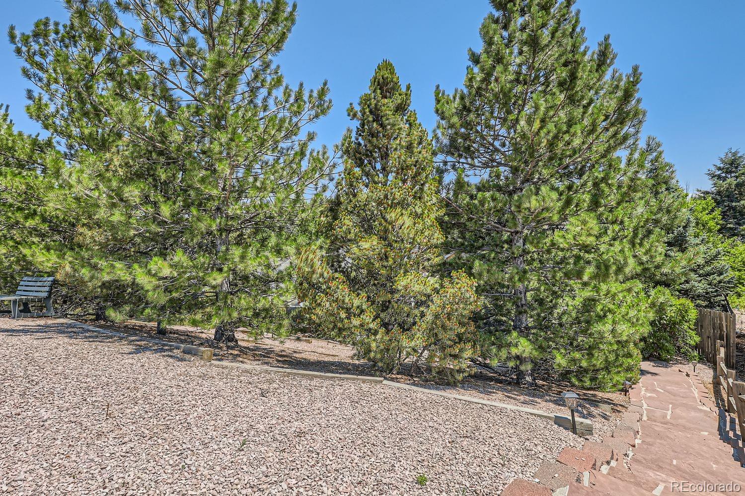 MLS Image #45 for 1511  scott canyon lane,castle rock, Colorado