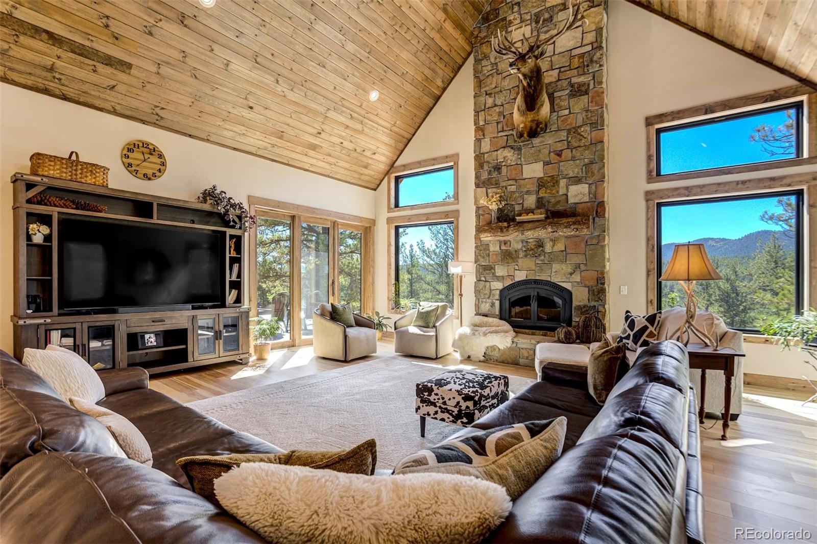 MLS Image #10 for 39858  highway 24 ,lake george, Colorado