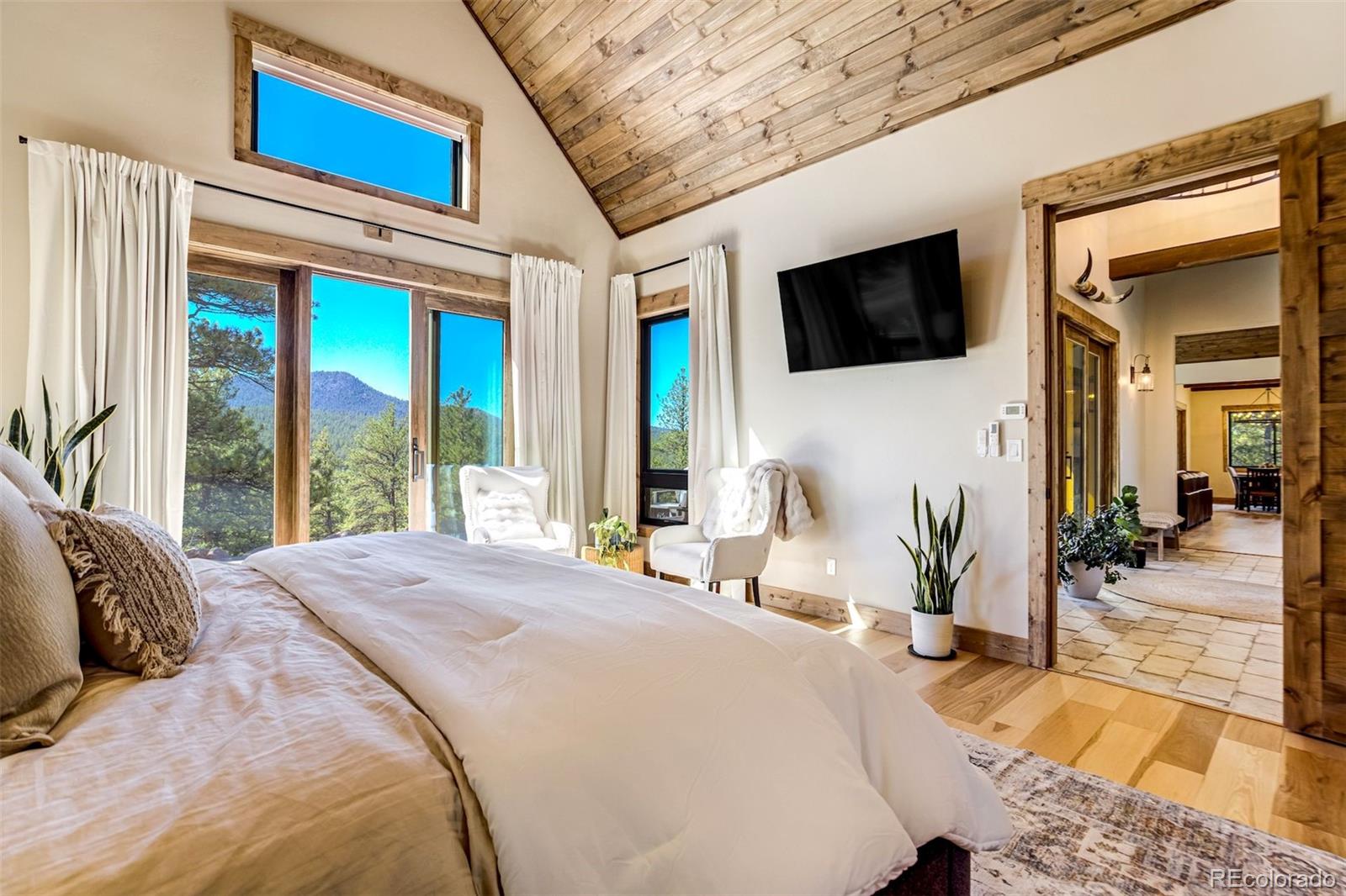 MLS Image #22 for 39858  highway 24 ,lake george, Colorado