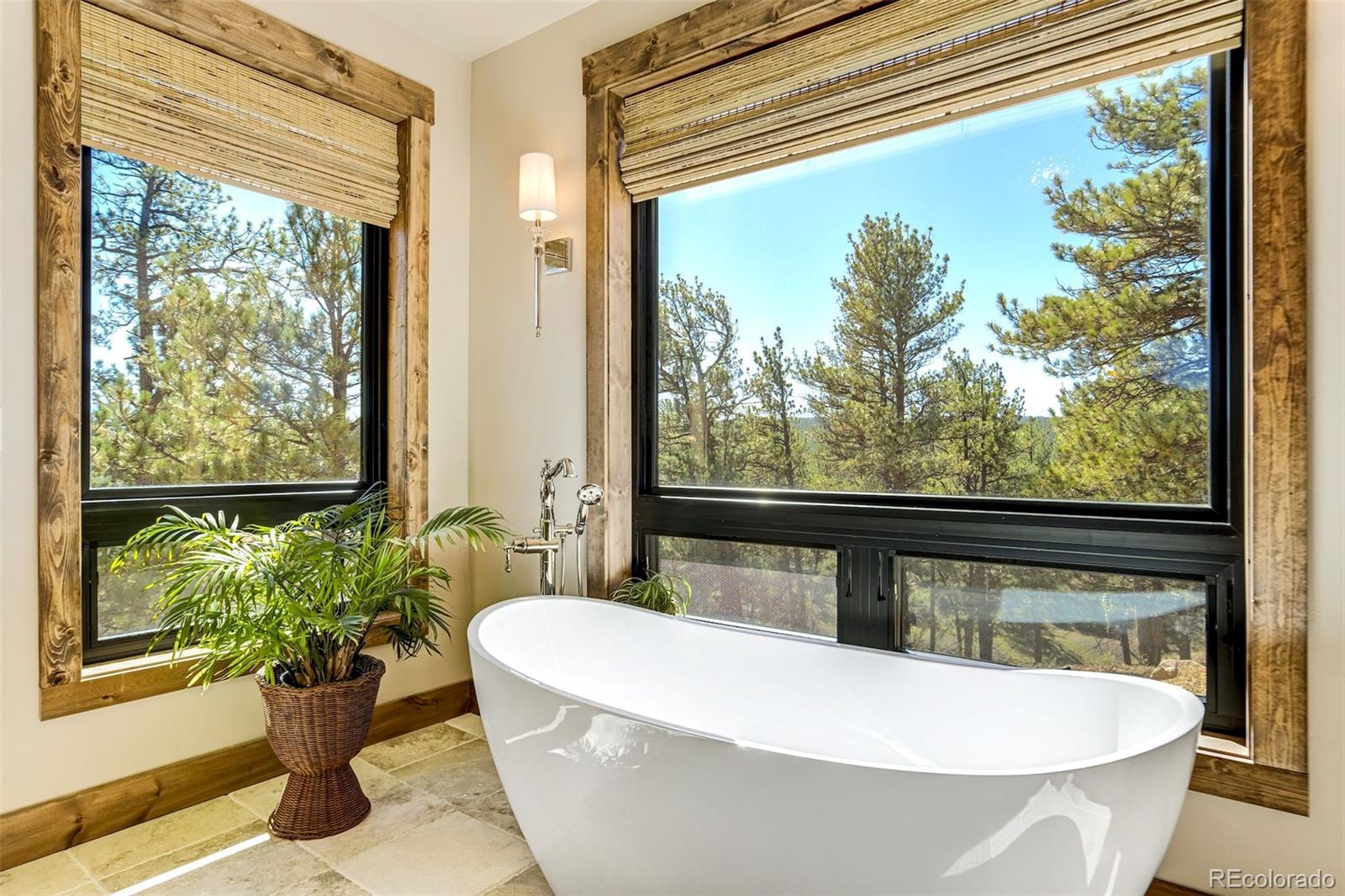 MLS Image #27 for 39858  highway 24 ,lake george, Colorado