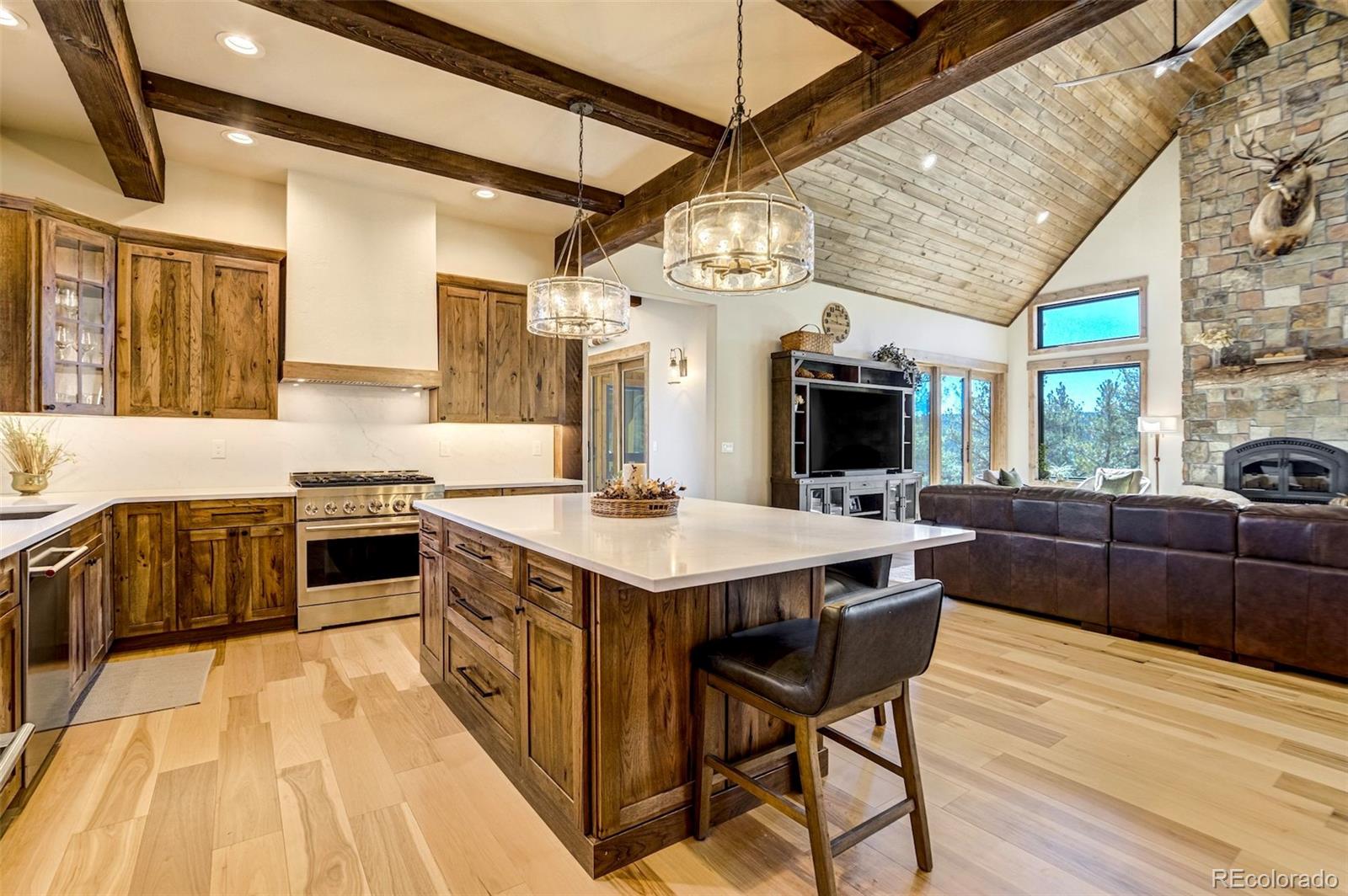 MLS Image #3 for 39858  highway 24 ,lake george, Colorado