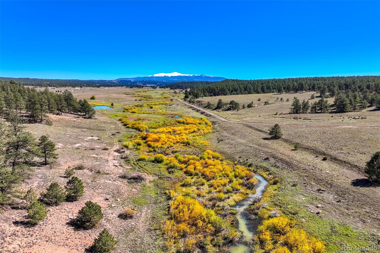 MLS Image #34 for 39858  highway 24 ,lake george, Colorado
