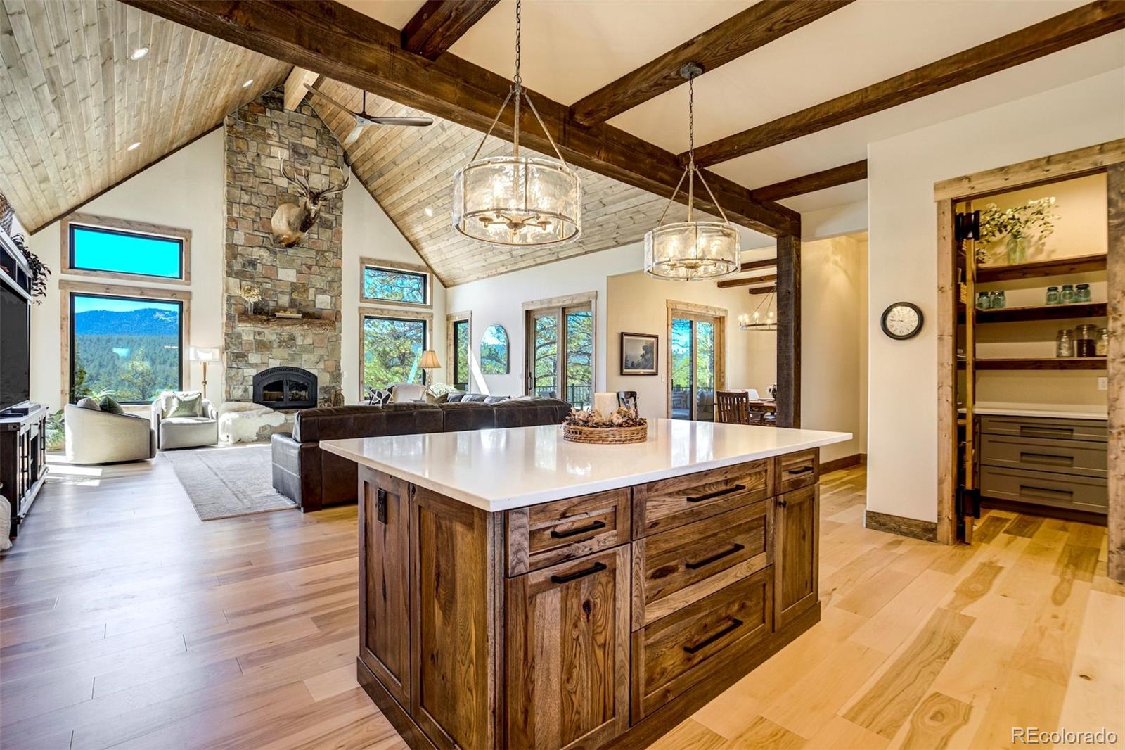 MLS Image #7 for 39858  highway 24 ,lake george, Colorado