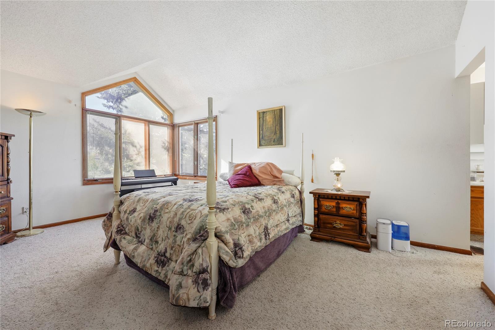 MLS Image #17 for 20883  parliament place,parker, Colorado