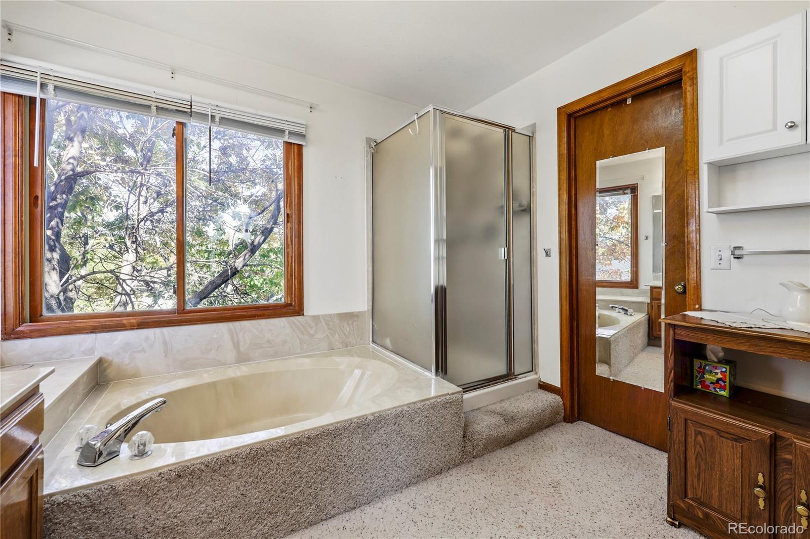 MLS Image #19 for 20883  parliament place,parker, Colorado