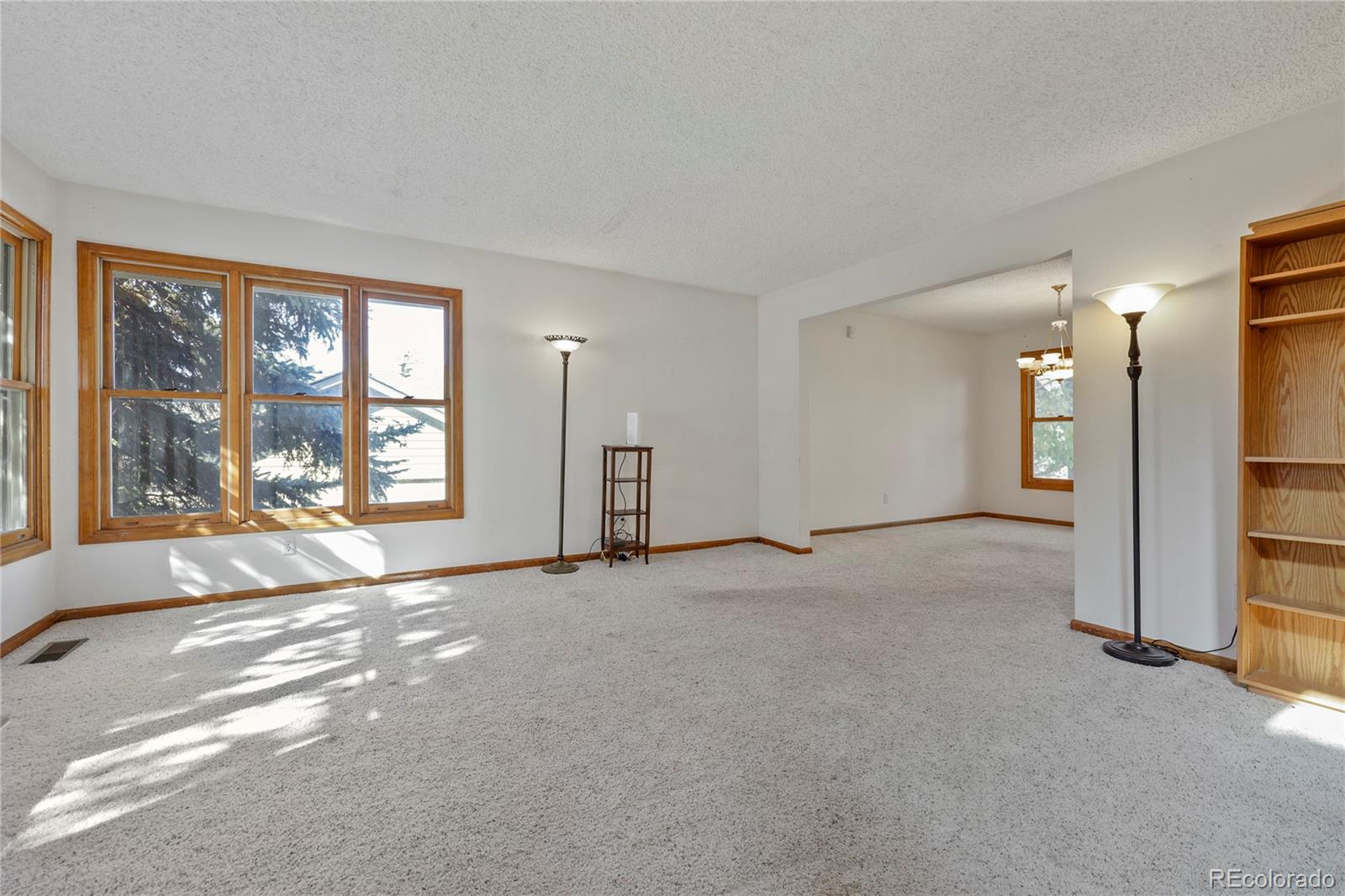 MLS Image #4 for 20883  parliament place,parker, Colorado