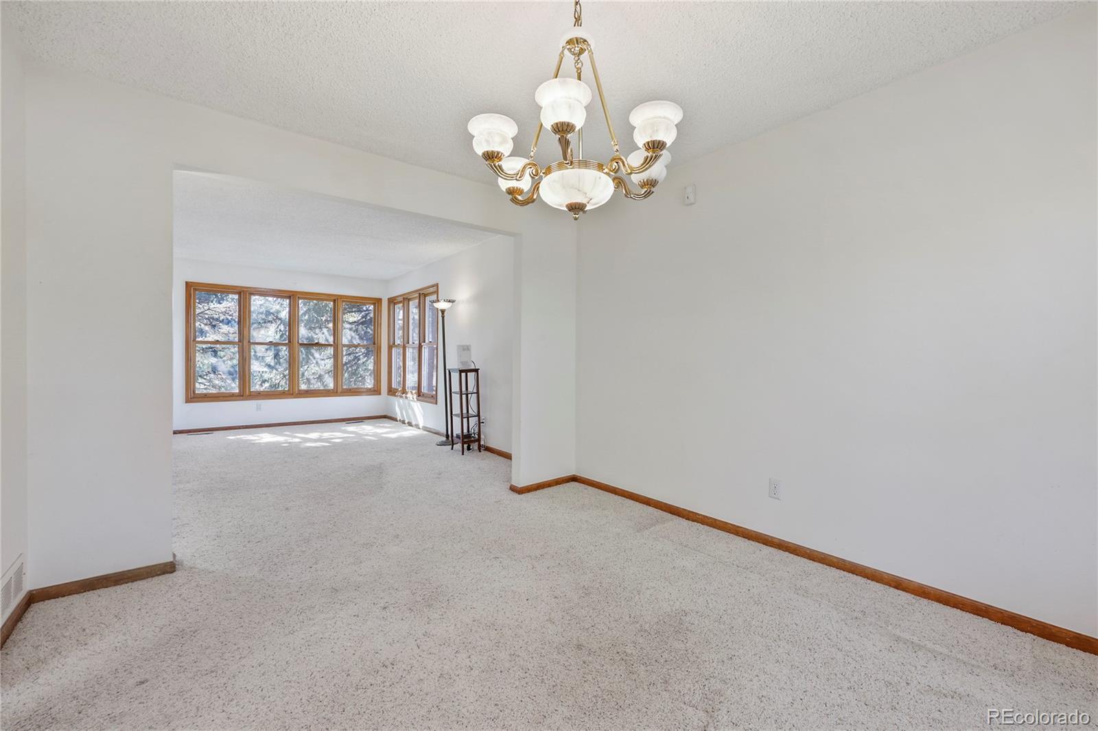 MLS Image #7 for 20883  parliament place,parker, Colorado