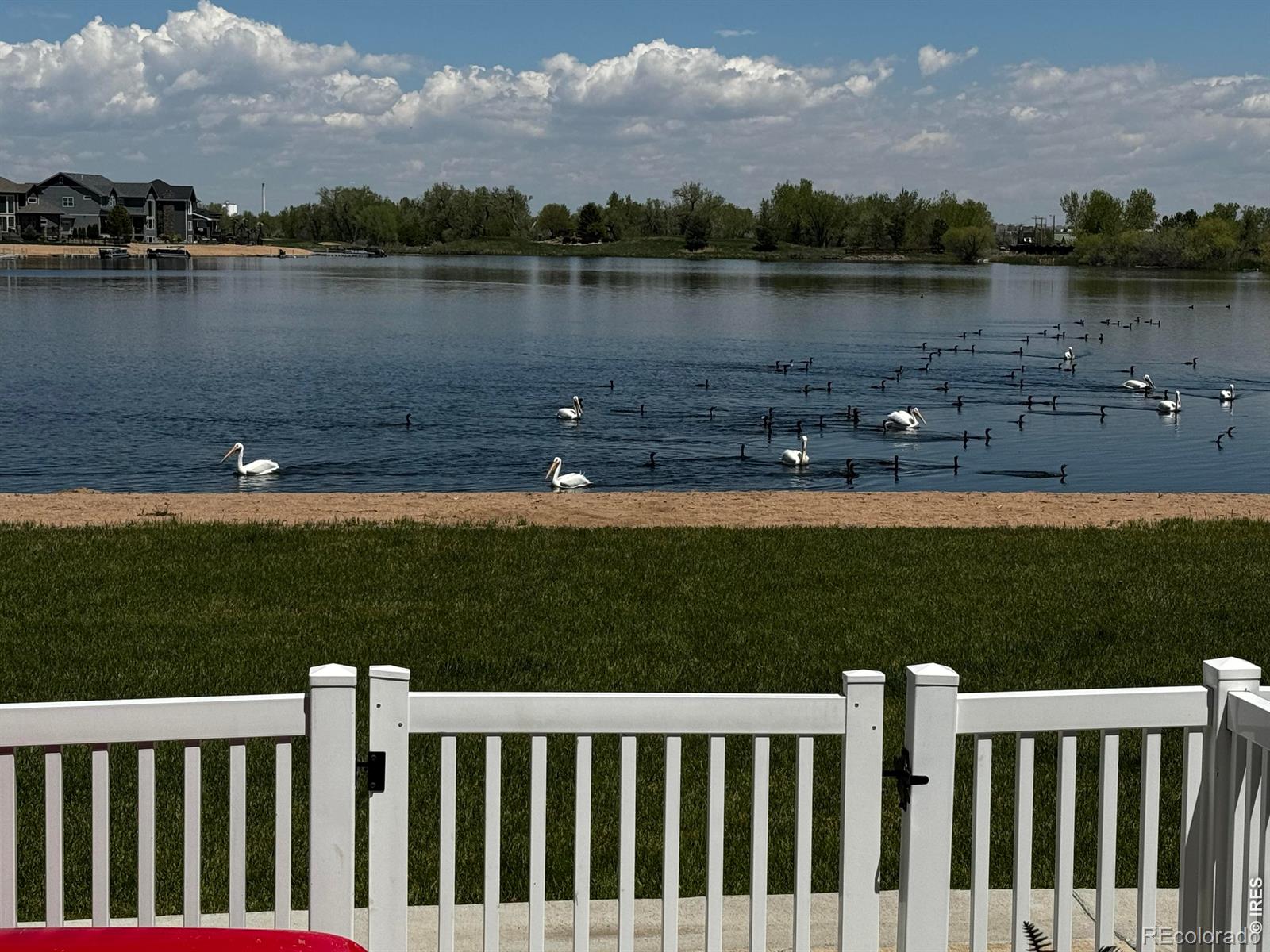 MLS Image #23 for 2152  montauk lane,windsor, Colorado