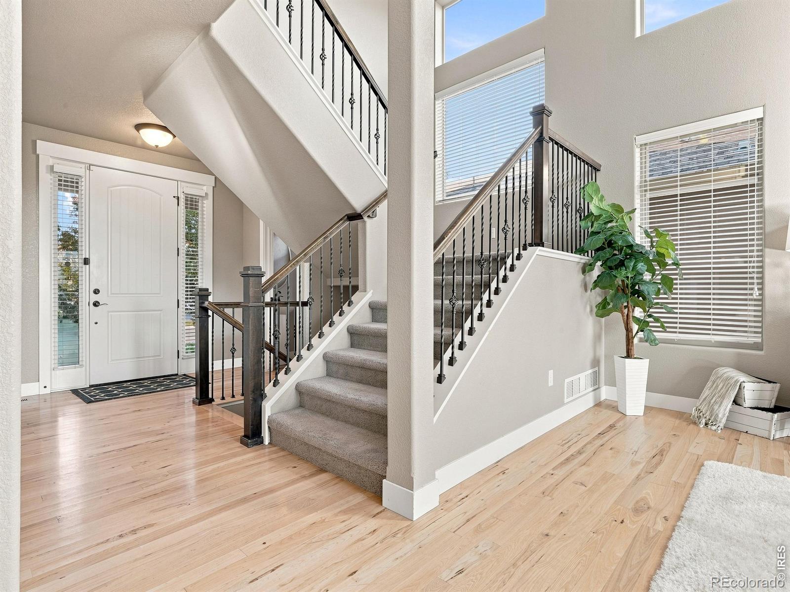 MLS Image #16 for 608  vermilion peak drive,windsor, Colorado
