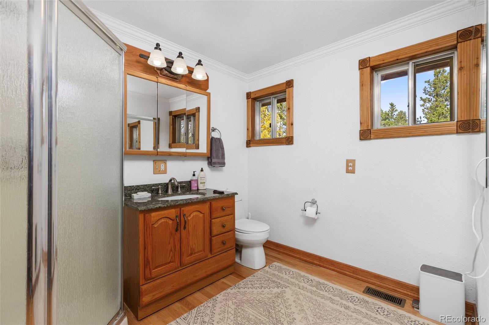 MLS Image #20 for 12  lake street,black hawk, Colorado