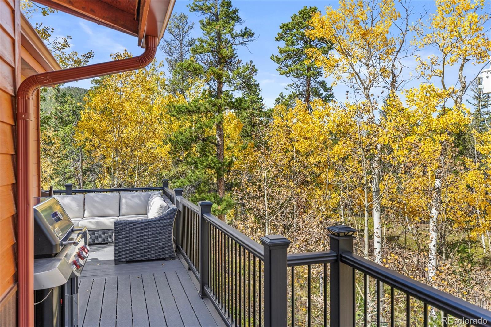 MLS Image #43 for 12  lake street,black hawk, Colorado