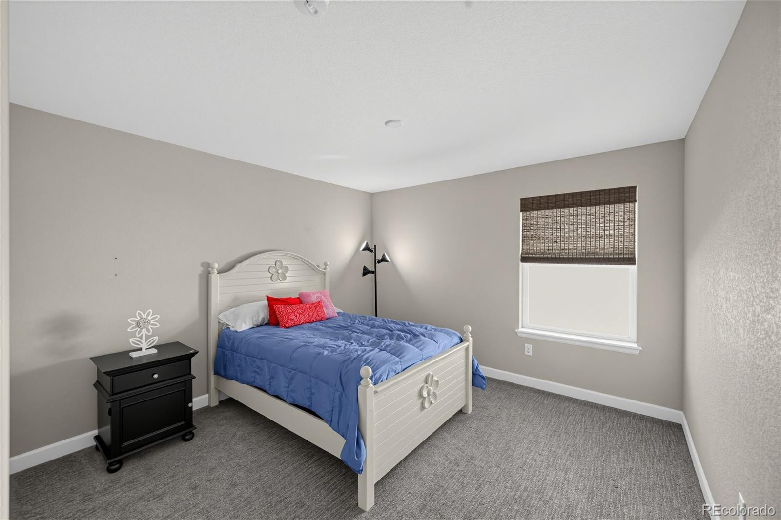 MLS Image #17 for 22537 e swallow place,aurora, Colorado