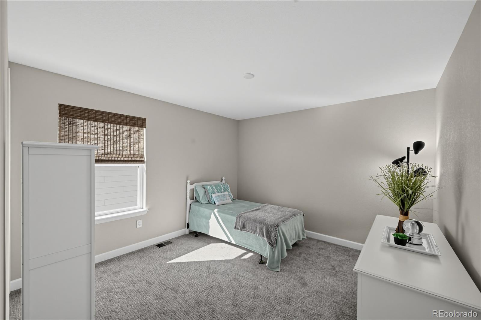 MLS Image #19 for 22537 e swallow place,aurora, Colorado