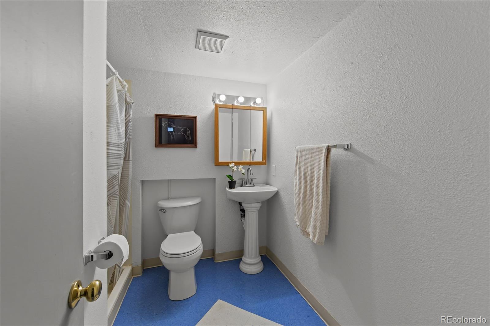 MLS Image #18 for 1746  palmer park boulevard,colorado springs, Colorado