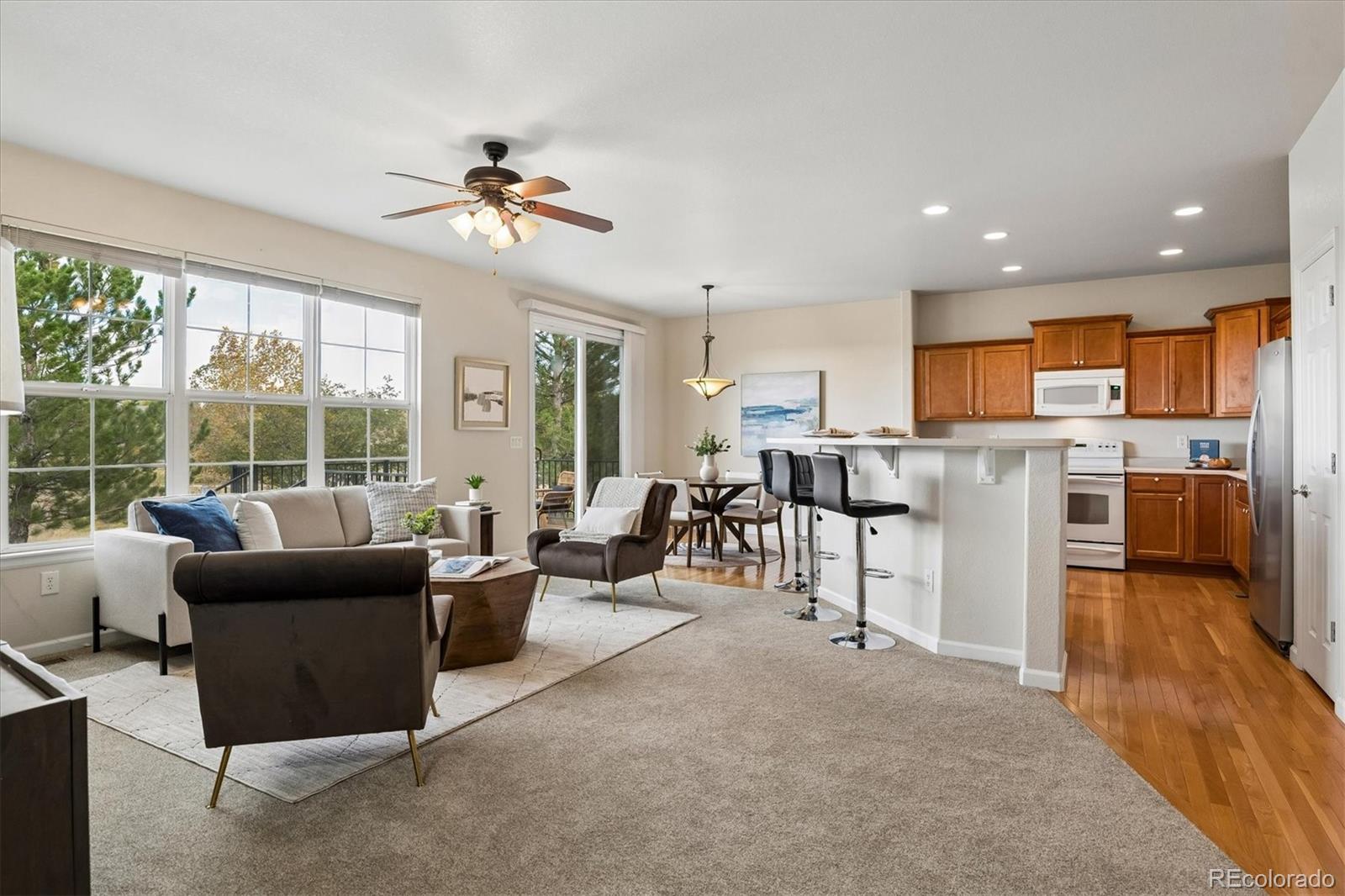 MLS Image #10 for 16678  antero street,broomfield, Colorado