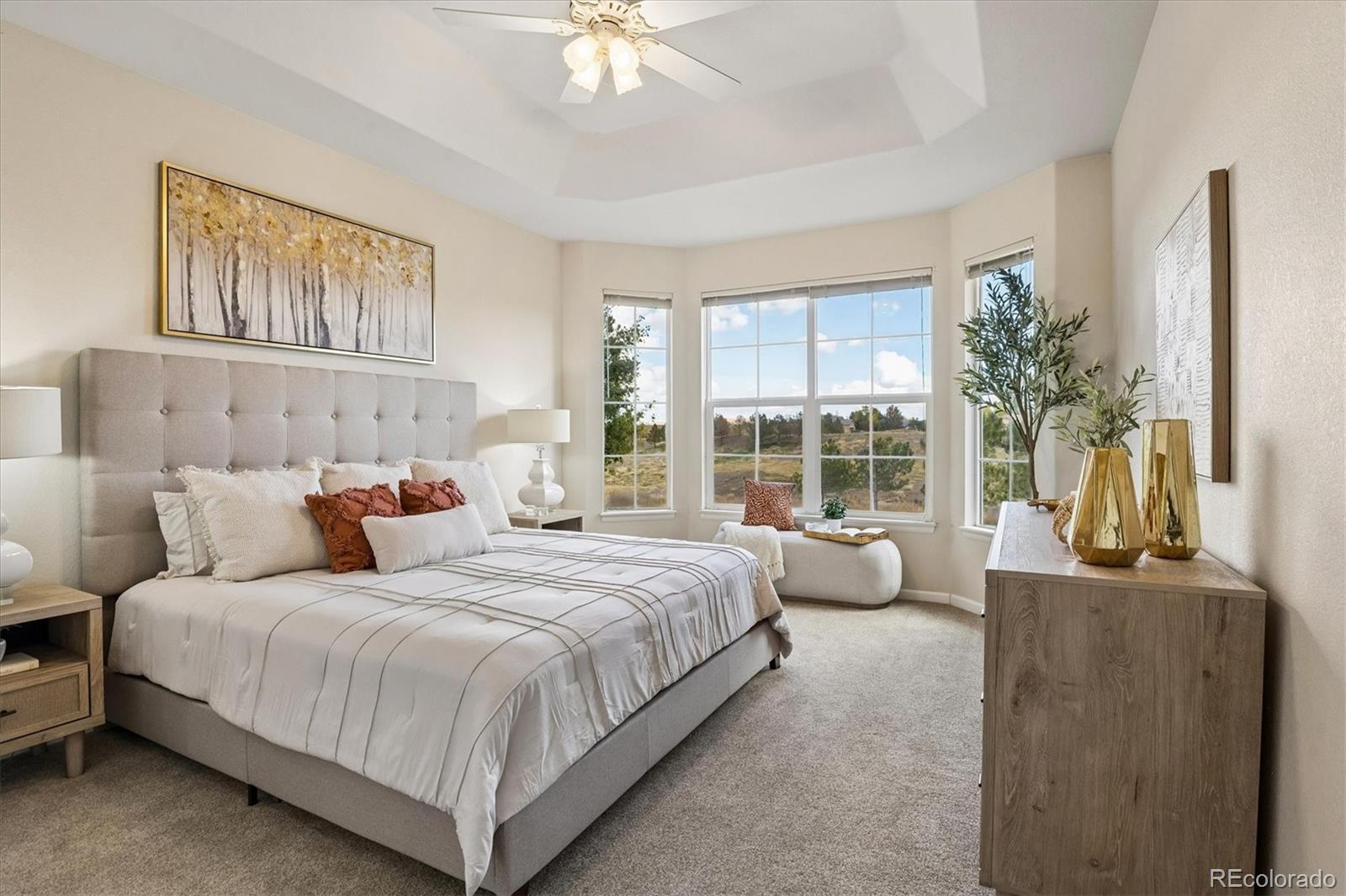 MLS Image #20 for 16678  antero street,broomfield, Colorado