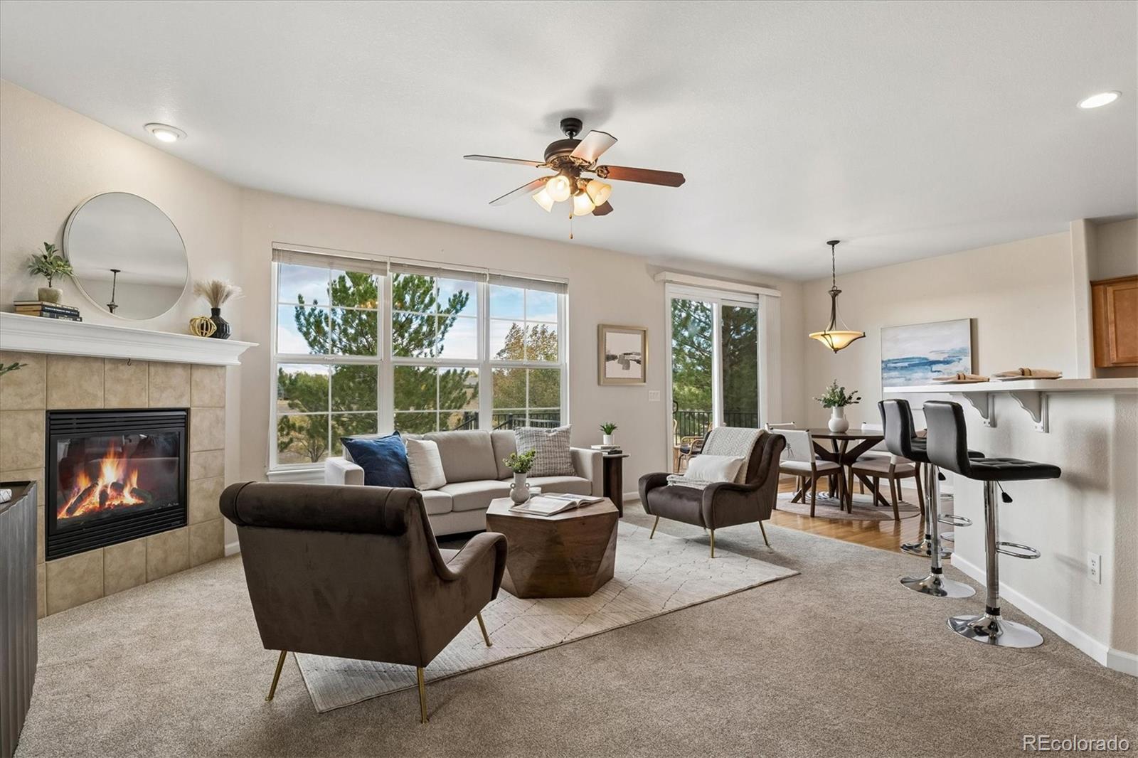 MLS Image #9 for 16678  antero street,broomfield, Colorado