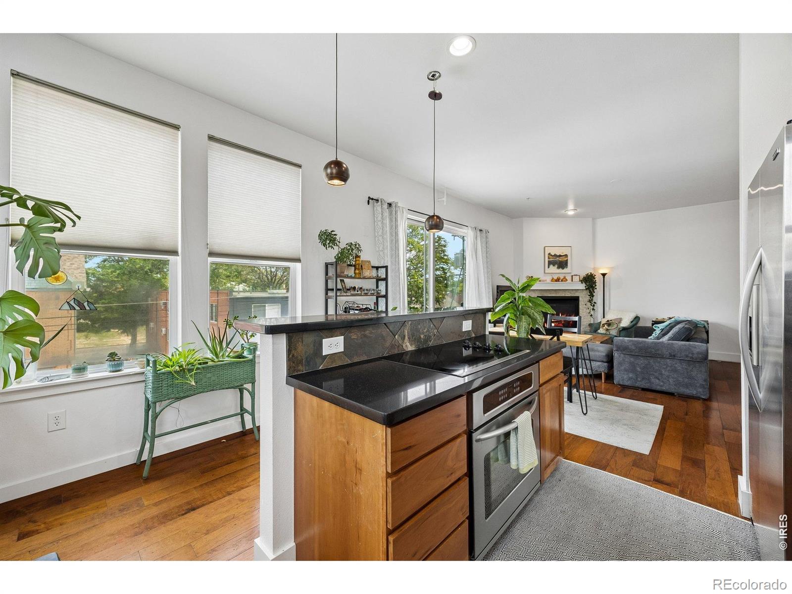MLS Image #2 for 1738 n franklin street 3d,denver, Colorado