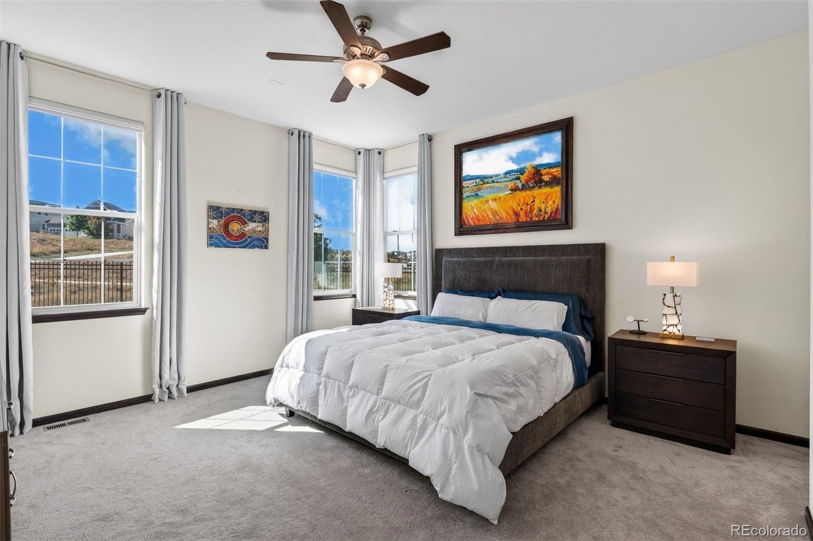 MLS Image #21 for 2524  lassen lane,castle rock, Colorado