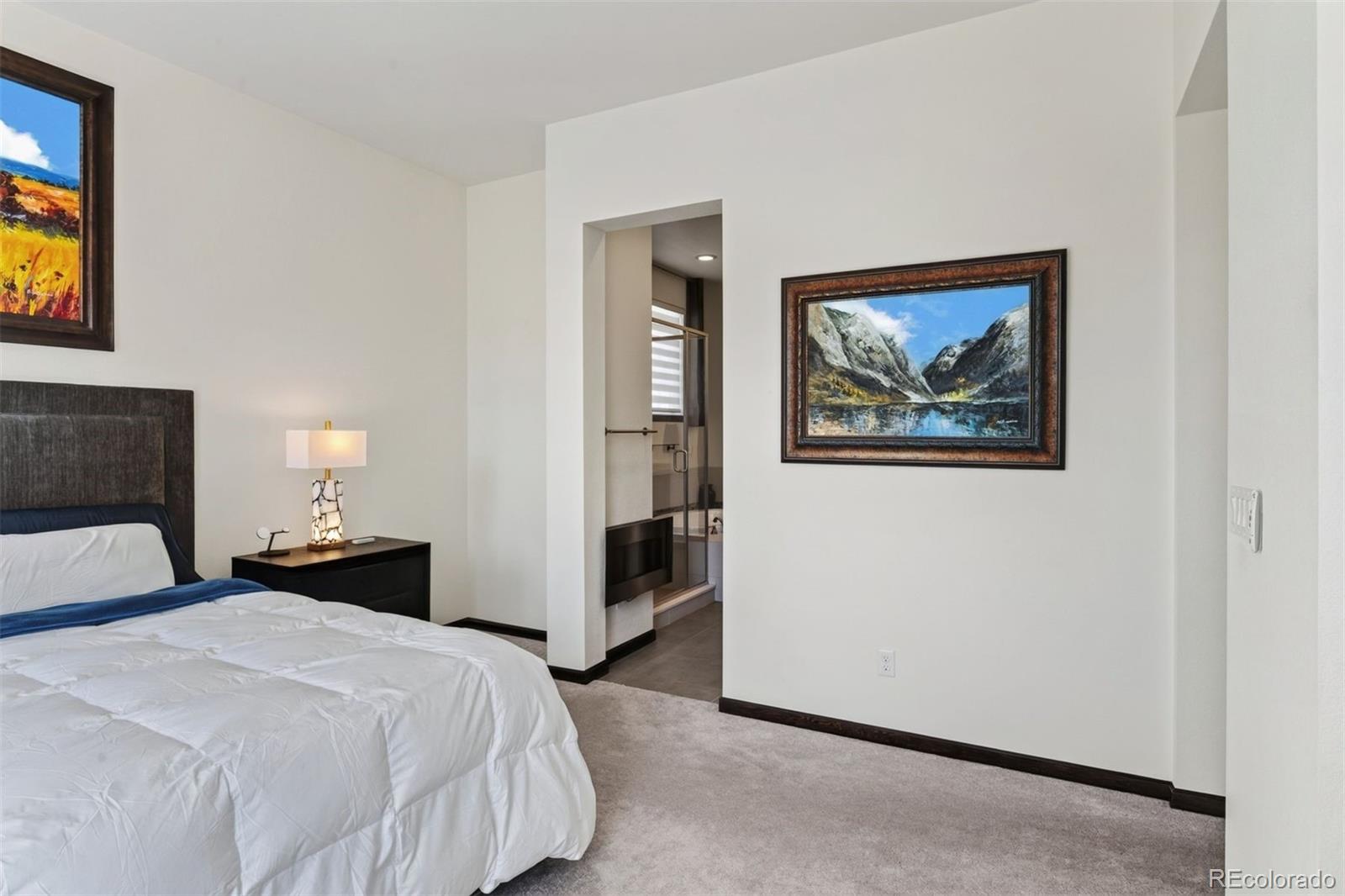 MLS Image #23 for 2524  lassen lane,castle rock, Colorado