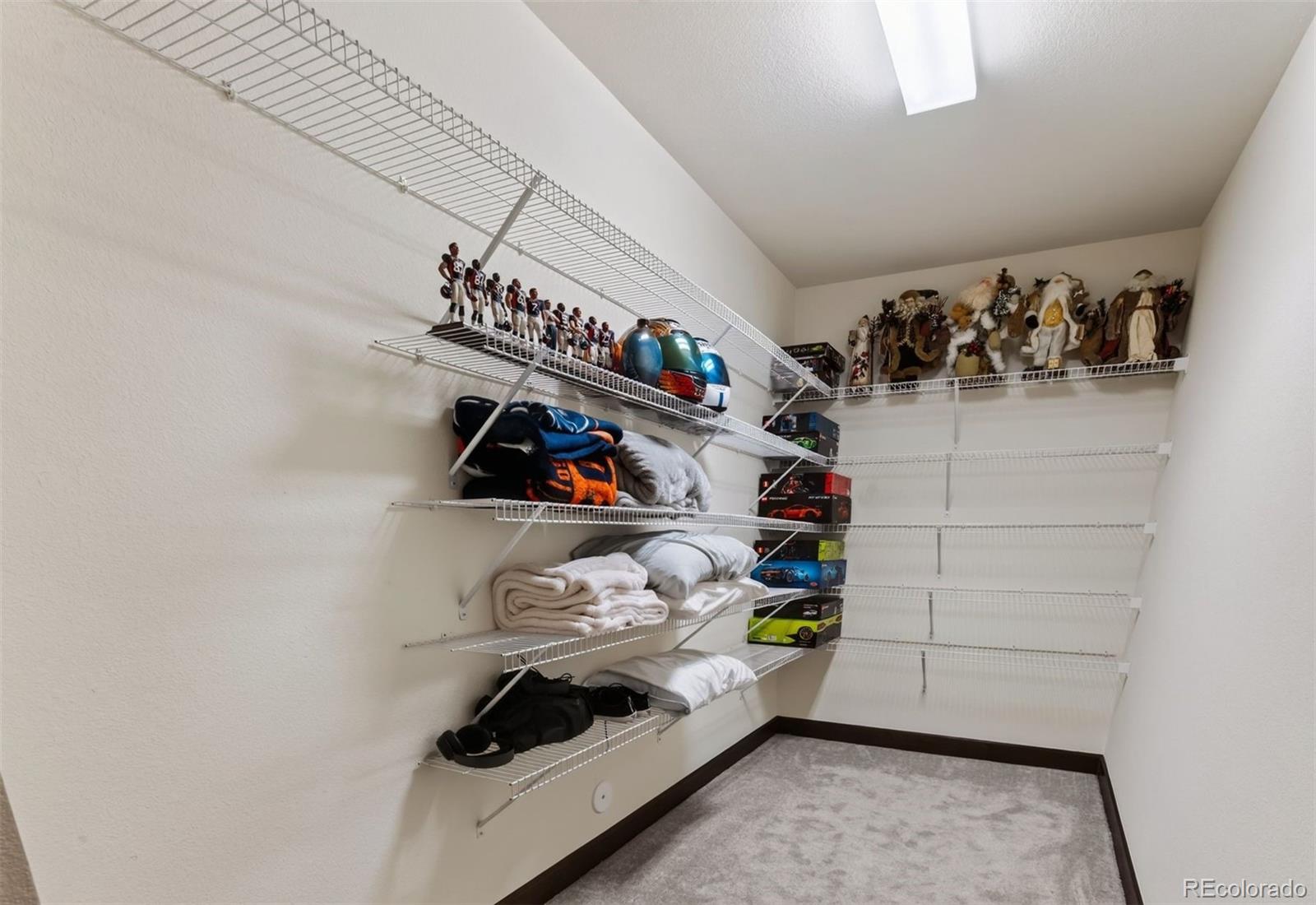 MLS Image #46 for 2524  lassen lane,castle rock, Colorado