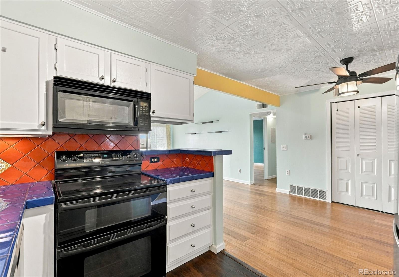 MLS Image #14 for 335  wright street,lakewood, Colorado