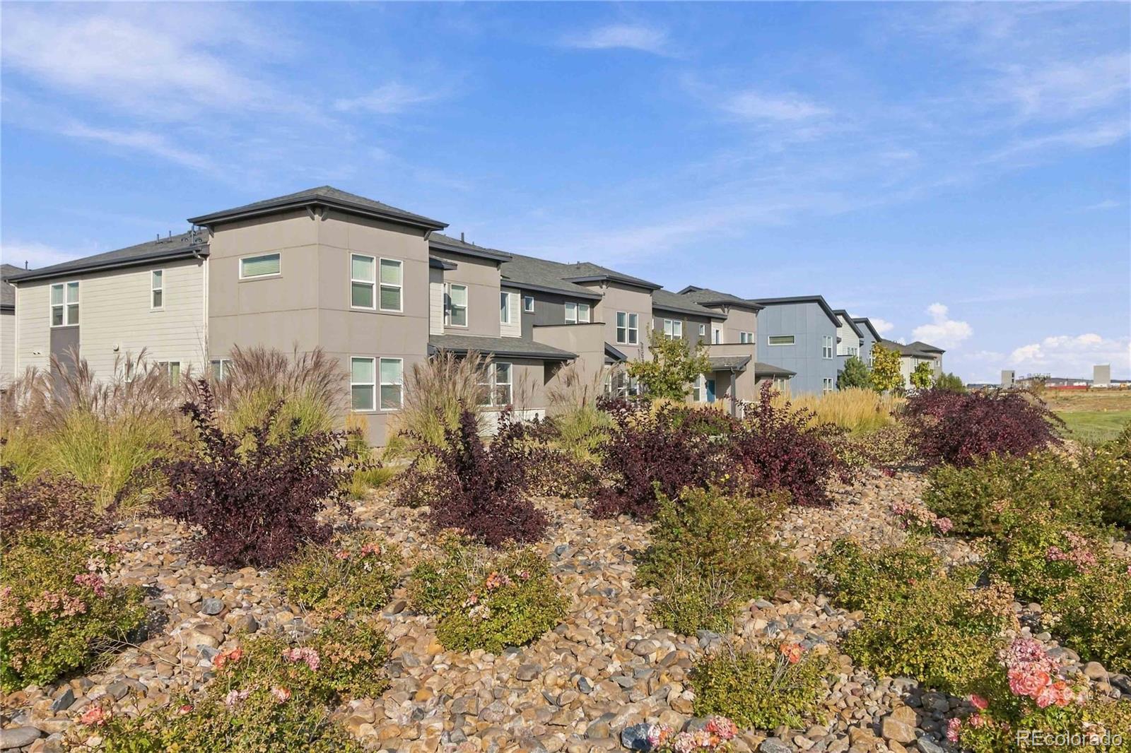 MLS Image #25 for 6531 n dunkirk street,denver, Colorado