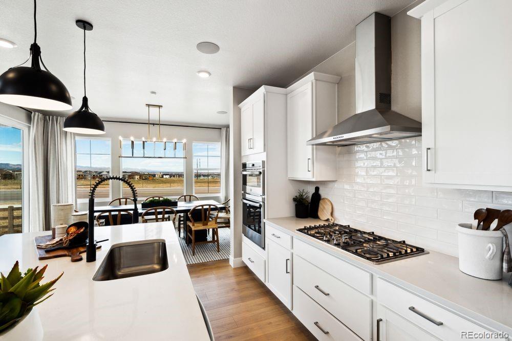MLS Image #10 for 8731  pennycress drive,littleton, Colorado