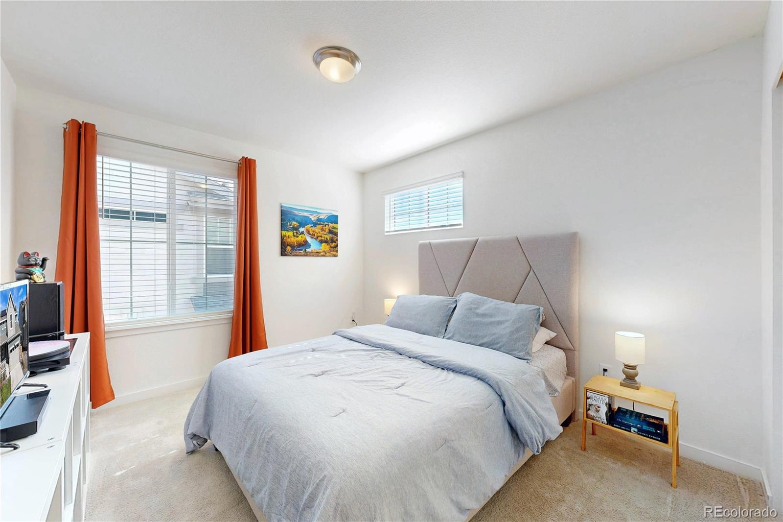 MLS Image #20 for 13081 e 110th place,commerce city, Colorado